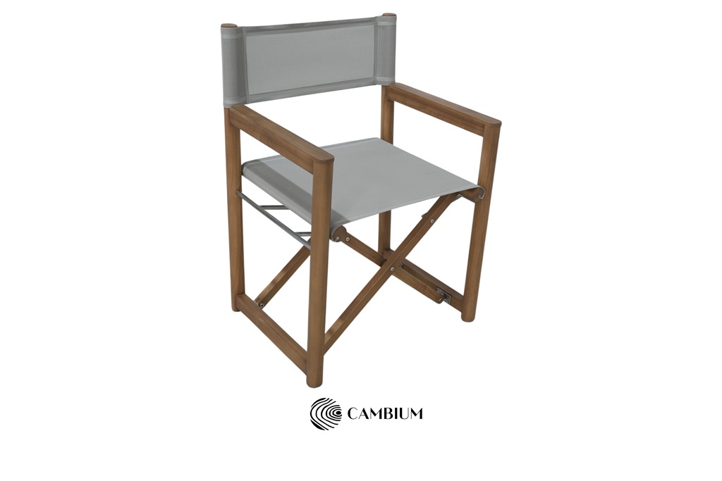 Metro Director Chair