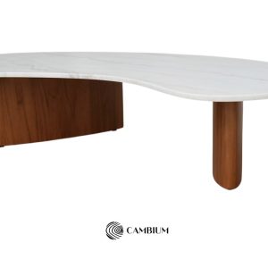 Bean coffee table