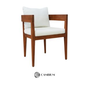 Dining Chair 45 x 50 x 79